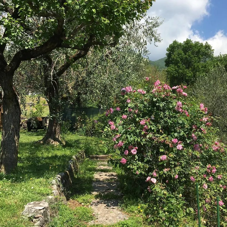Bed and Breakfast Il Chiostrino Gardone Riviera 0*,